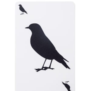 [8 Pack] Plastic "Bird" Cards: 10th Anniversary Deck by 57 Cards - Image 11